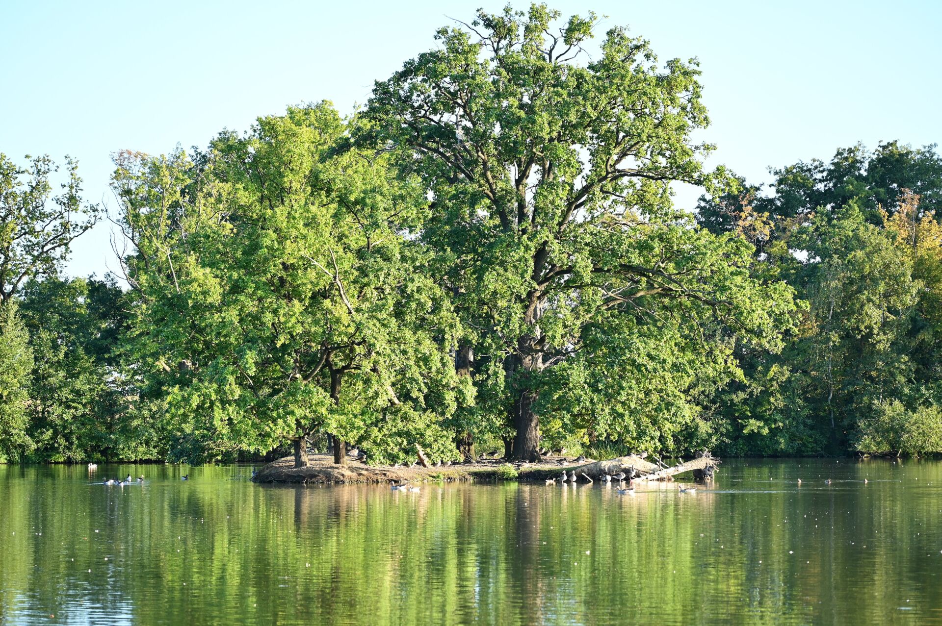 Tourismus & Kultur • Gemeinde Röderaue